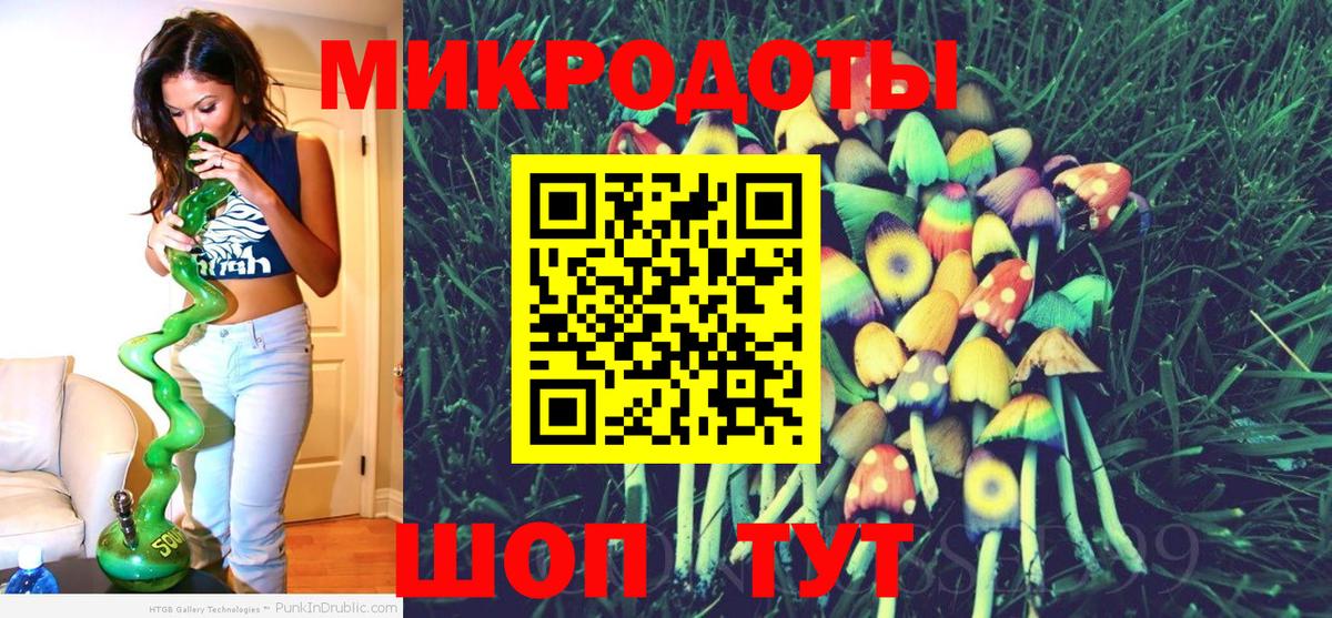 Псилоцибиновые грибы мицелий Саранск