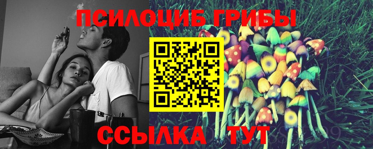 Саранск  Псилоцибиновые грибы Magic Shrooms  как найти закладки  Вход с VPN 
