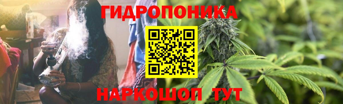 Саранск  Марихуана конопля  Марихуана OG Kush  Вход с VPN  Марихуана тримм 